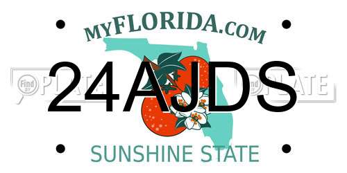 24AJDS Florida License Plate