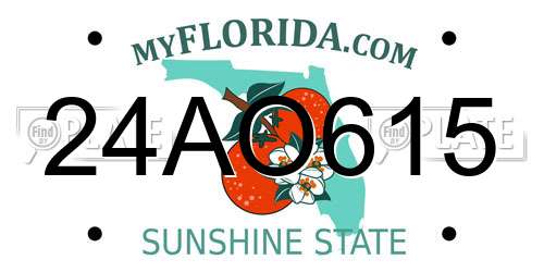 24AO615 Florida License Plate