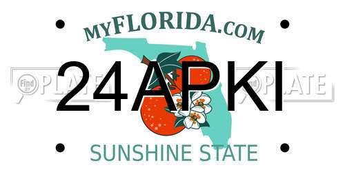 24APKI Florida License Plate