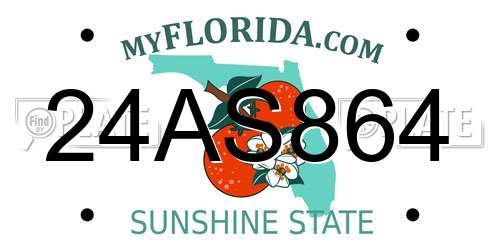 24AS864 Florida License Plate