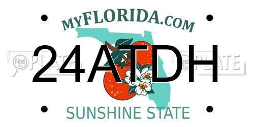 24ATDH Florida License Plate