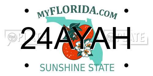 24AYAH Florida License Plate