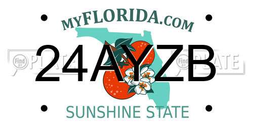 24AYZB Florida License Plate