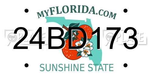 24BD173 Florida License Plate