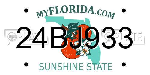 24BJ933 Florida License Plate