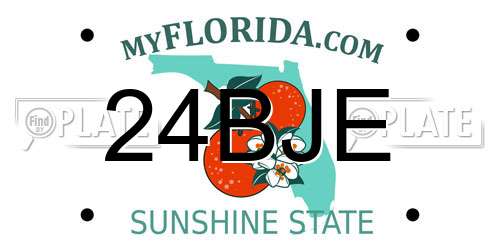 24BJE Florida License Plate