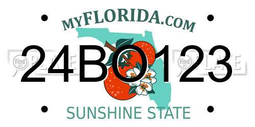 24BO123 Florida License Plate
