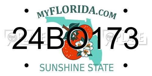 24BO173 Florida License Plate