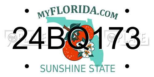 24BQ173 Florida License Plate