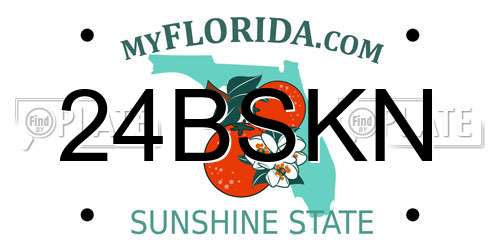 24BSKN Florida License Plate