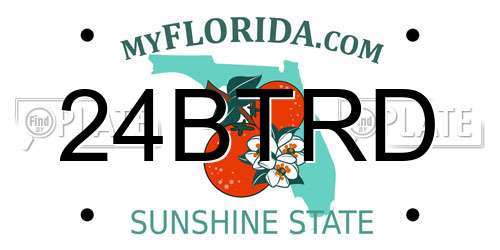 24BTRD Florida License Plate