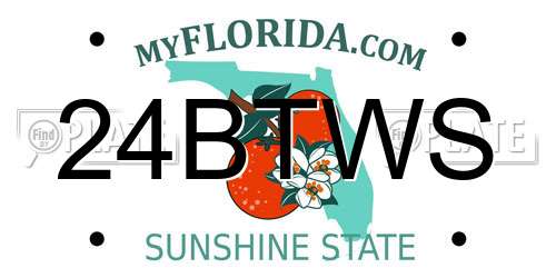 24BTWS Florida License Plate