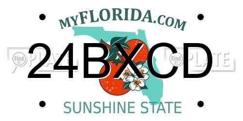 24BXCD Florida License Plate