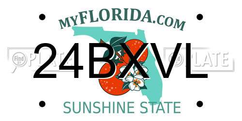24BXVL Florida License Plate