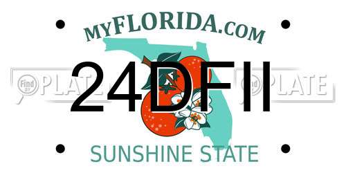 24DFII Florida License Plate