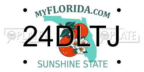 24DLTJ Florida License Plate