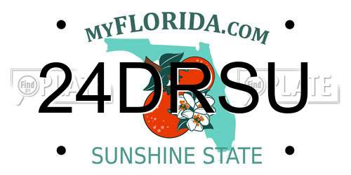 24DRSU Florida License Plate