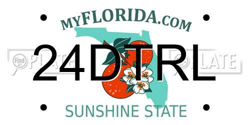 24DTRL Florida License Plate