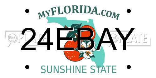 24EBAY Florida License Plate
