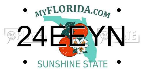 24EEYN Florida License Plate