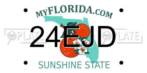 24EJD Florida License Plate