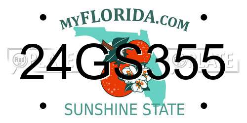 24GS355 Florida License Plate