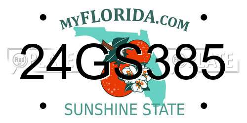 24GS385 Florida License Plate