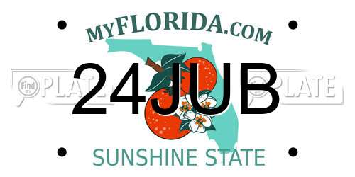 24JUB Florida License Plate