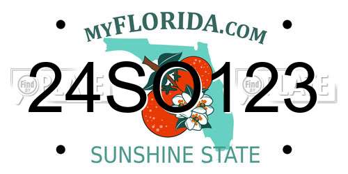 24SO123 Florida License Plate
