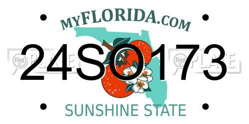 24SO173 Florida License Plate