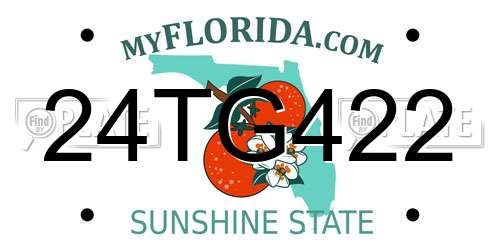 24TG422 Florida License Plate
