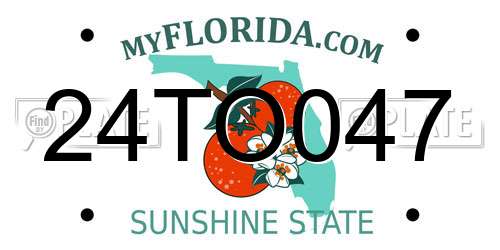 24TO047 Florida License Plate