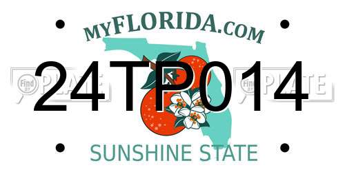 24TP014 Florida License Plate