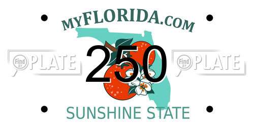 250 Florida License Plate