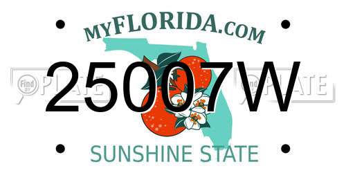 25007W Florida License Plate