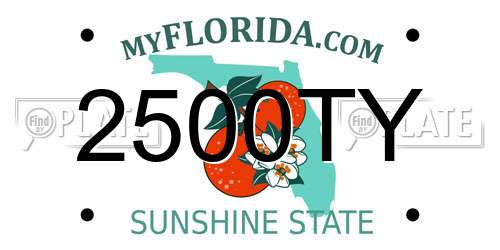2500TY Florida License Plate