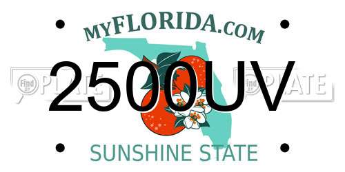 2500UV Florida License Plate