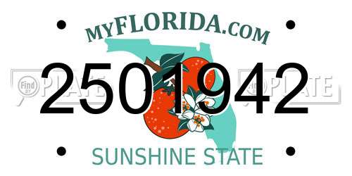 2501942 Florida License Plate