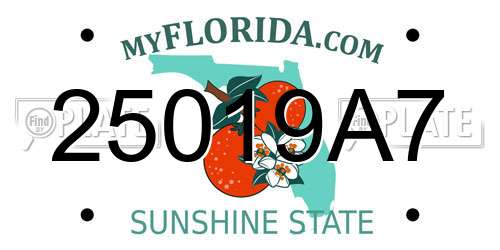 25019A7 Florida License Plate