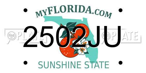 2502JU Florida License Plate
