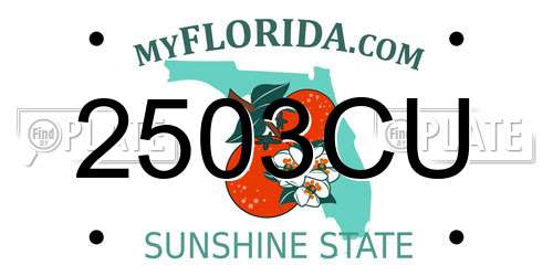 2503CU Florida License Plate