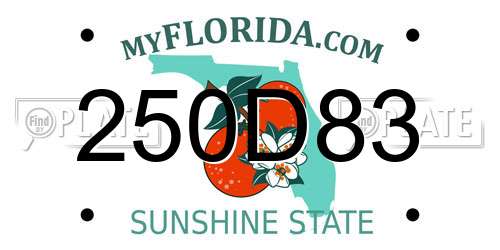 250D83 Florida License Plate