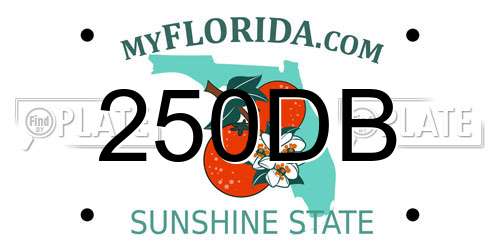 250DB Florida License Plate