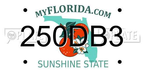 250DB3 Florida License Plate