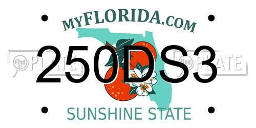 250DS3 Florida License Plate