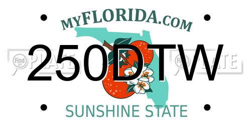 250DTW Florida License Plate