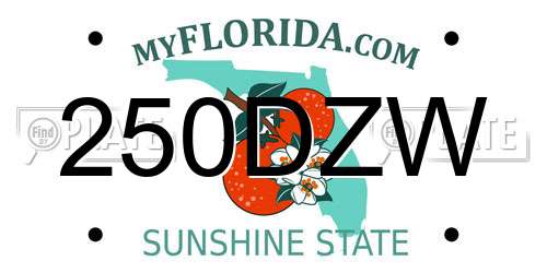 250DZW Florida License Plate