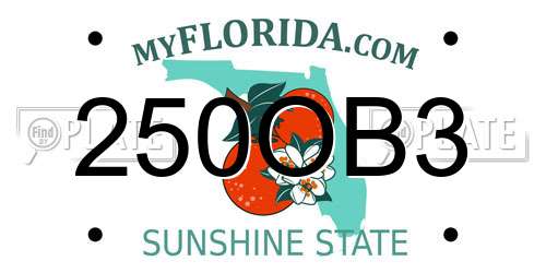 250OB3 Florida License Plate