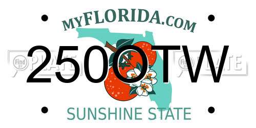 250OTW Florida License Plate