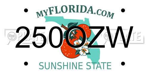 250OZW Florida License Plate